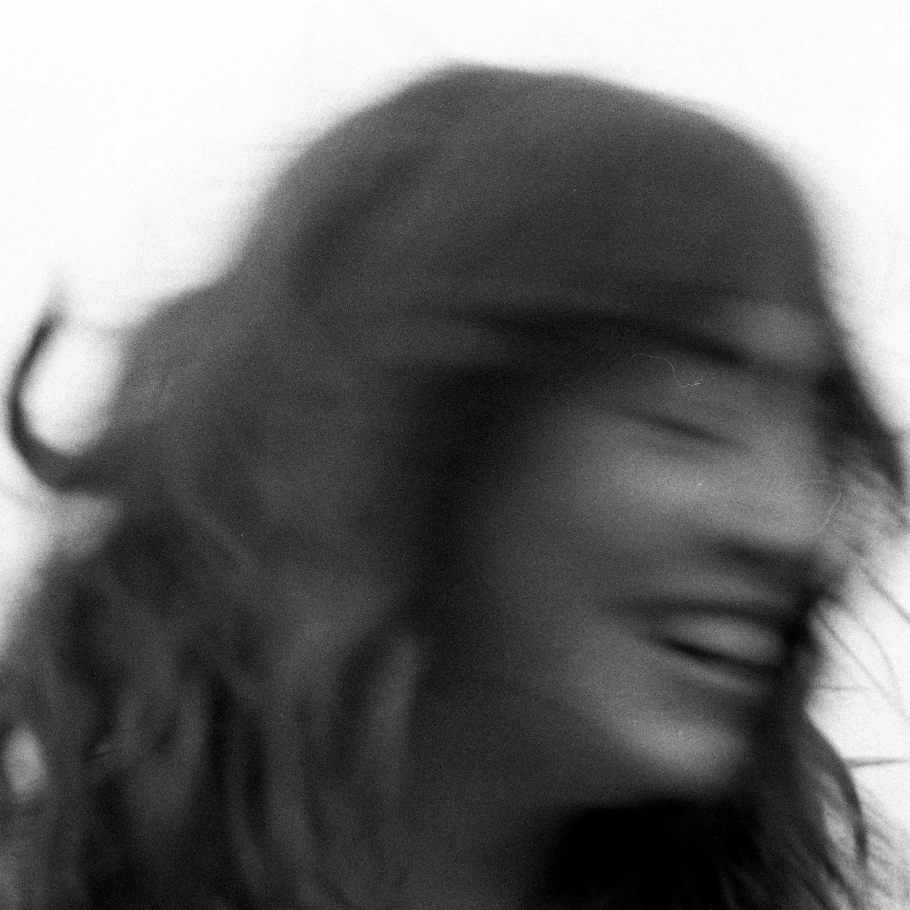 Katie Gregson-MacLeod